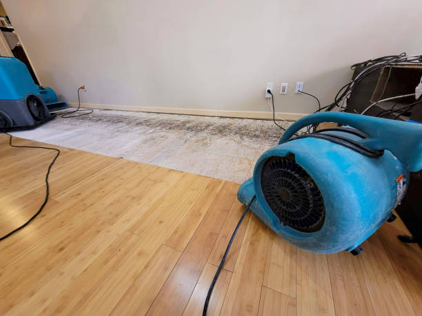 Professional Basement Flood Cleanup technician working in Millsap, TX